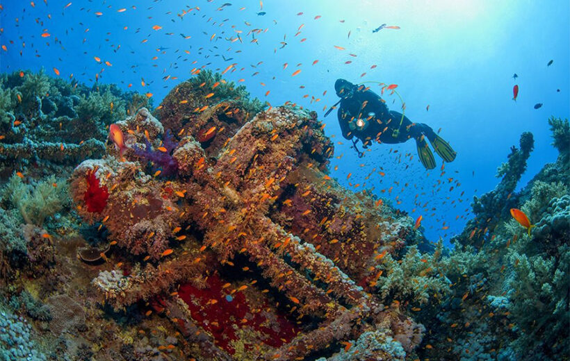 DAY SNORKELING TRIP TO SHARM EL LULLI AND WADI EL QULAAN